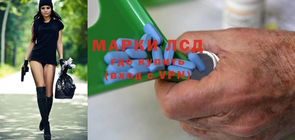 стаф Магас