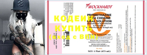 стаф Магас