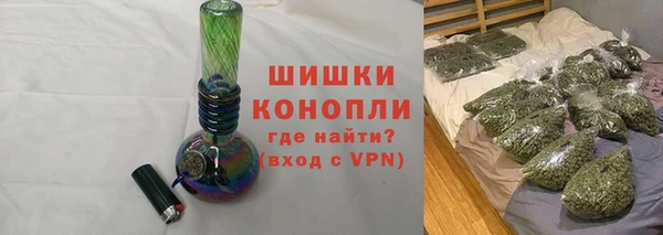прущие грибы Майский