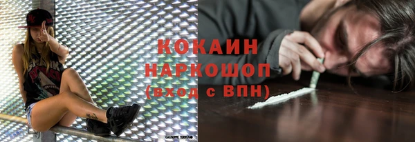 прущие грибы Майский