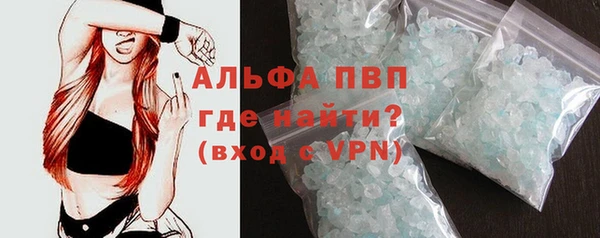прущие грибы Майский