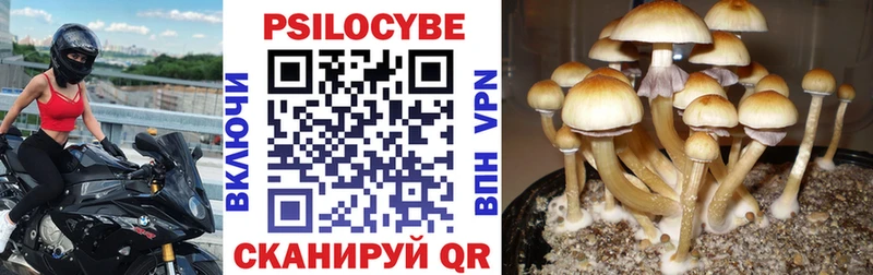 Купить  Десногорск  Галлюциногенные грибы мицелий 